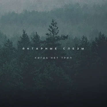 Янтарные слёзы