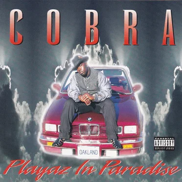 Playaz In Paradise