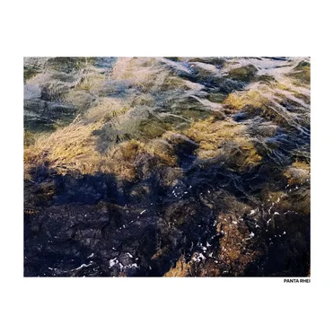 Panta Rhei