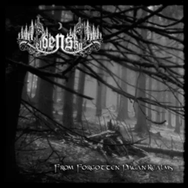 From Forgotten Pagan Realms by Eldensky - album cover