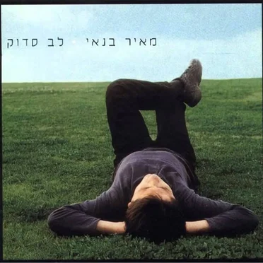 לב סדוק