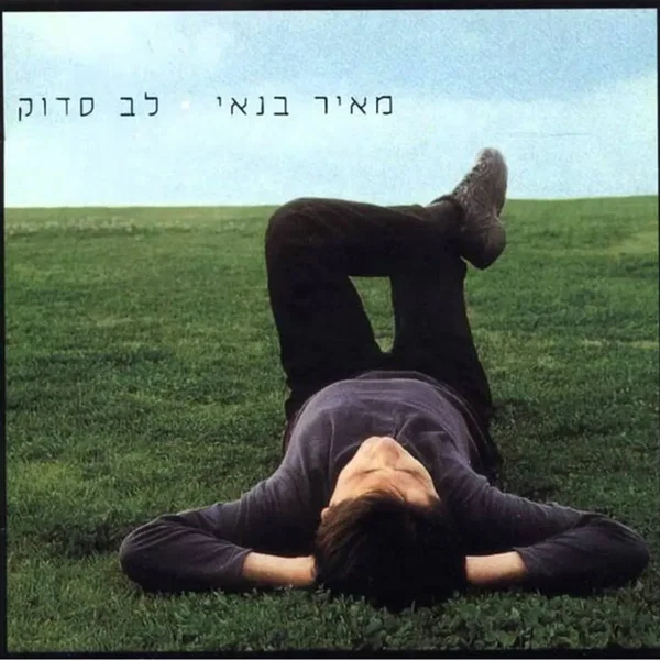 לב סדוק