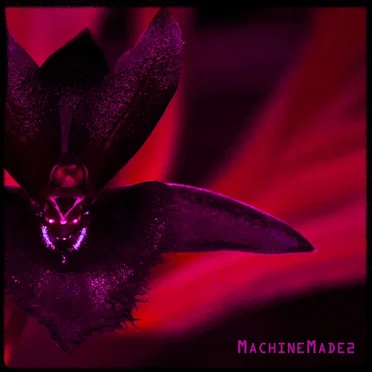 MachineMade2