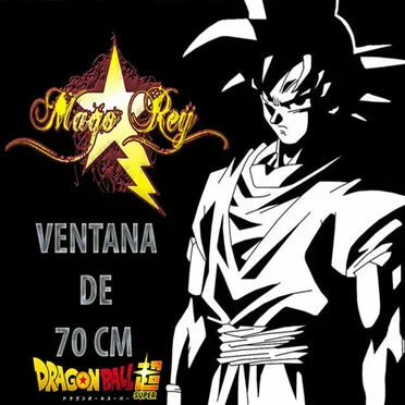 Ventana de 70 CM