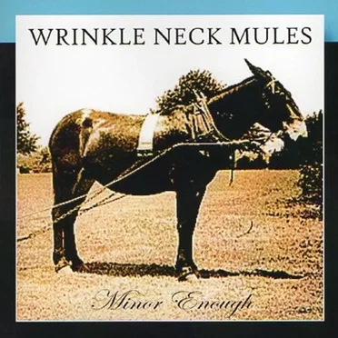 Wrinkle Neck Mules