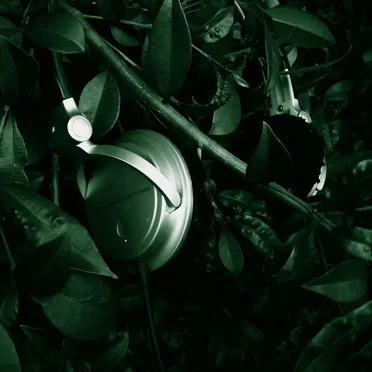 Headphone Silence