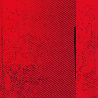 flaw, featured by Shoeb Ahmad - album cover