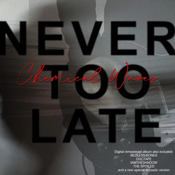 Never Too Late