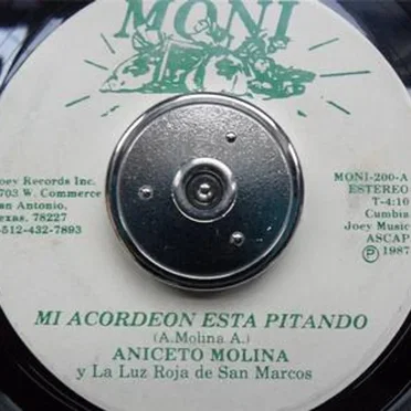 Mi acordeón está pitando / Rosy