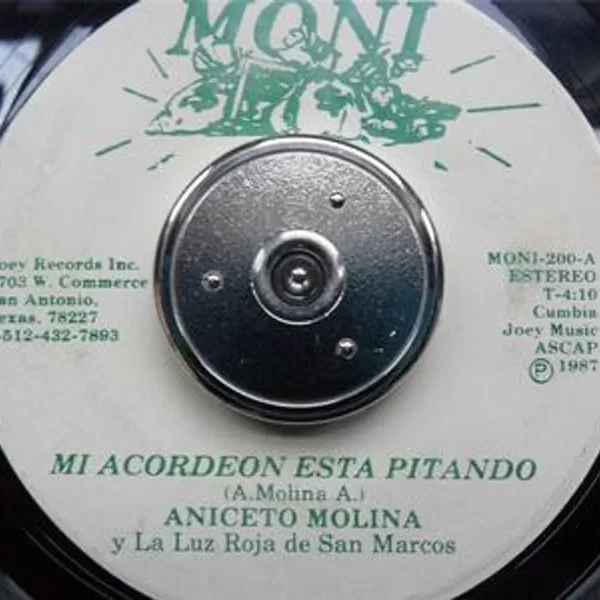 Mi acordeón está pitando / Rosy