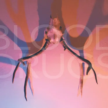 Blood Drugs