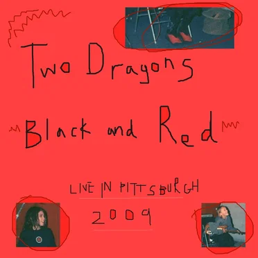 Live in Pittsburgh 2009
