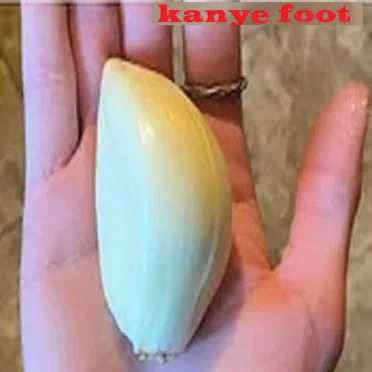kanyefootScat