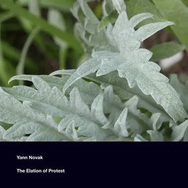 The Elation of Protest