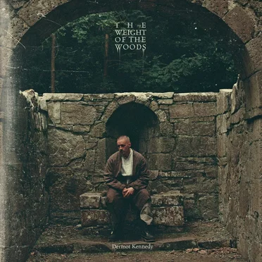 The Weight of the Woods by Dermot Kennedy - album cover