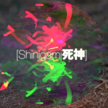 Shinigami死神 by Shinigami - album cover