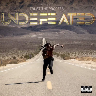 Trust the Process II: Undefeated by Ace Hood - album cover