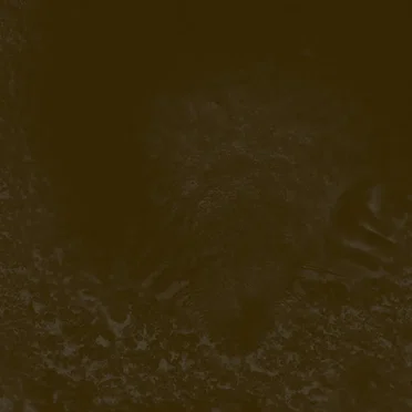 Mole
