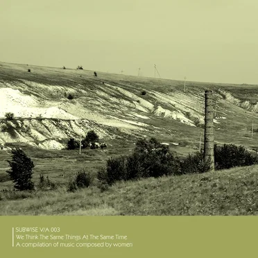Subwise V/A 003: We Think the Same Things at the Same Time by Various Artists - album cover