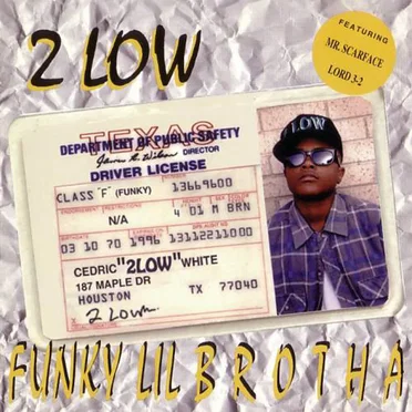 Funky Lil Brotha by 2 Low - album cover
