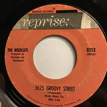 3625 Groovy Street / What Are We Gonna Do in '64? by The Wildcats - album cover