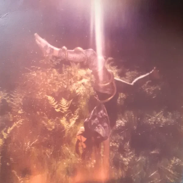 Comets Come Alive