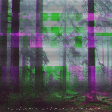 The Forest With No Name