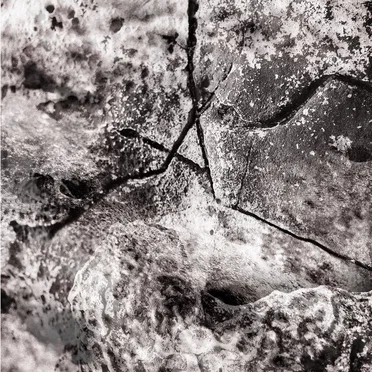 Morning Stone