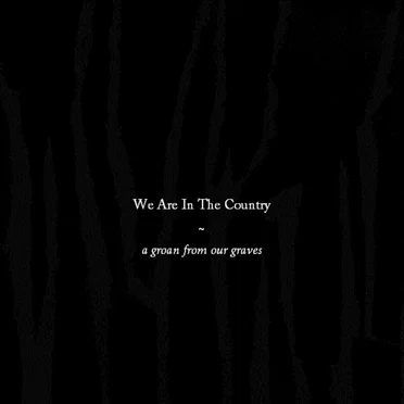 A Groan From Our Graves by We Are in the Country - album cover