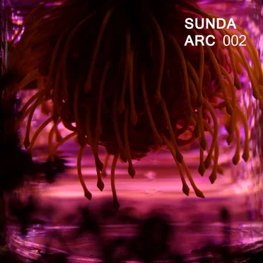 Sunda Arc 002 by Sunda Arc - album cover