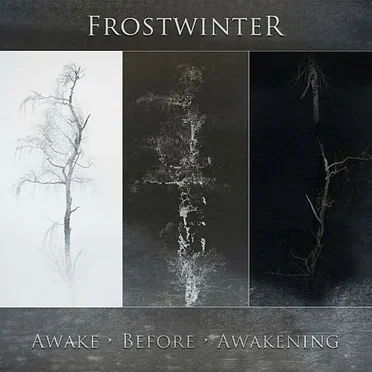 Awake Before Awakening by Frostwinter - album cover