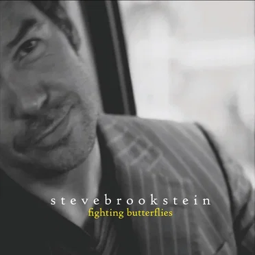 Fighting Butterflies by Steve Brookstein - album cover