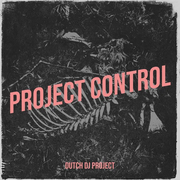 Project Control