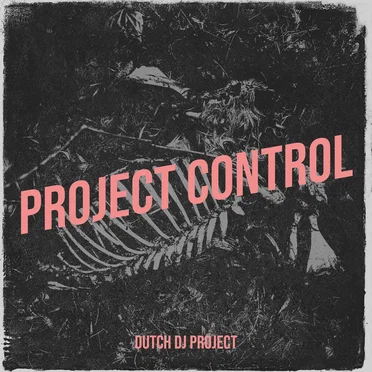 Project Control