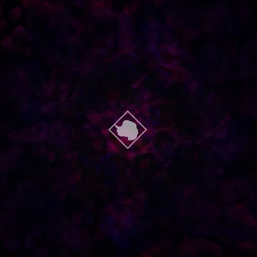Dark Matter by NǽnøĉÿbbŒrğ VbëřřĦōlökäävsŦ - album cover