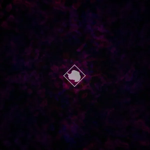 Dark Matter