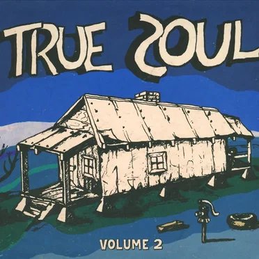 True Soul: Deep Sounds From the Left of Stax, Vol. 2 by Various Artists - album cover