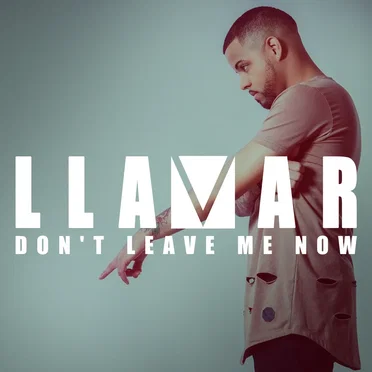 Don't Leave Me Now