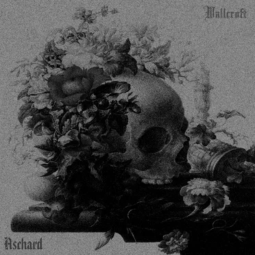 Wallcroft / Aschard