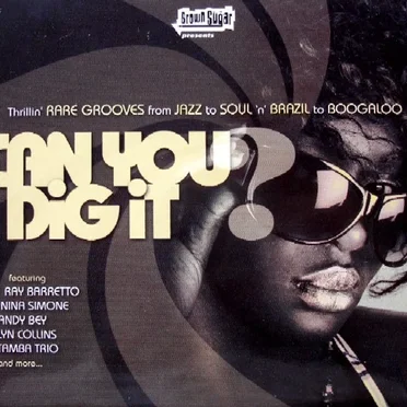 Can You Dig It by Various Artists - album cover
