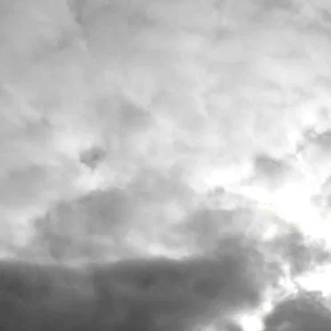 Two Lovely Pigies in the Sky