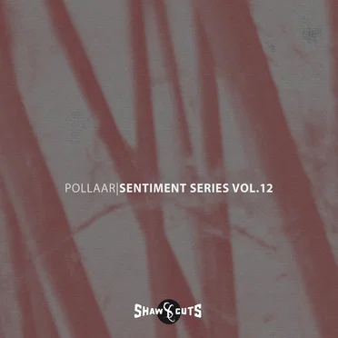 Sentiment Series Vol.12 by Pollaar - album cover