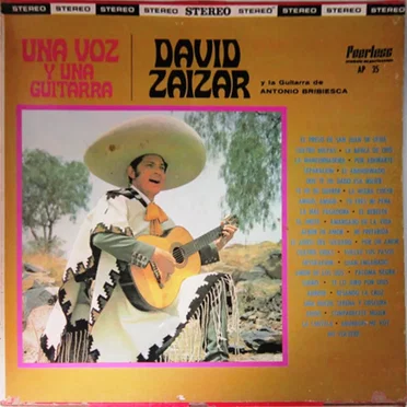 Una voz y una guitarra