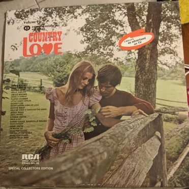 Dynamic House, Inc. Presents: Country Love by Various Artists - album cover