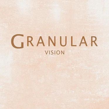 Vision