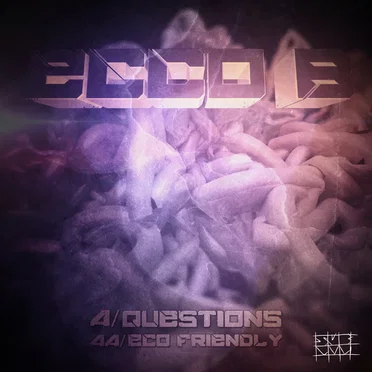 Questions / Eco-Friendly by Ecco B - album cover