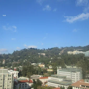 My Mom's Birthday (2018)