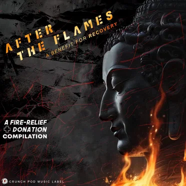 After the Flames: A Benefit for Recovery - A Donation Compilation by Various Artists - album cover