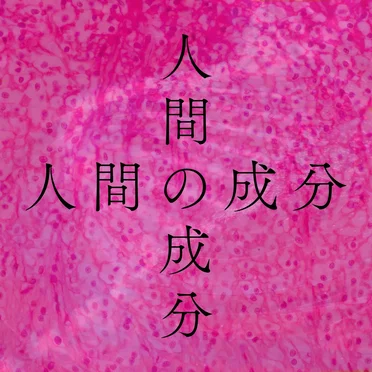 人間の成分