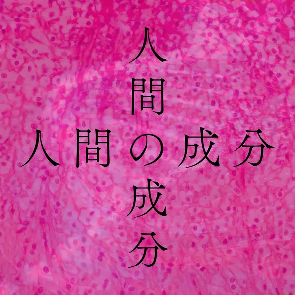 人間の成分